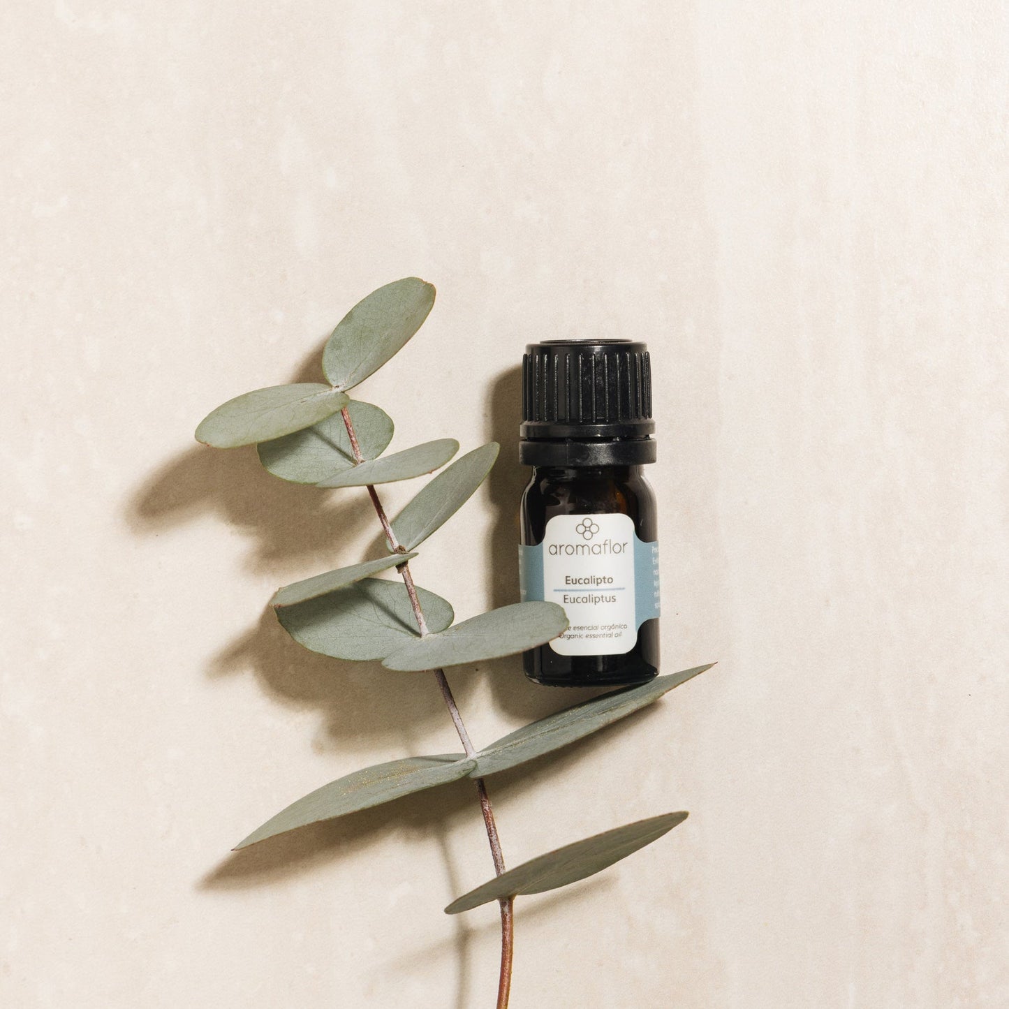 Eucalyptus