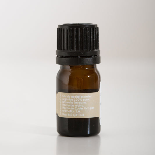 Frankincense / Incienso Olíbano