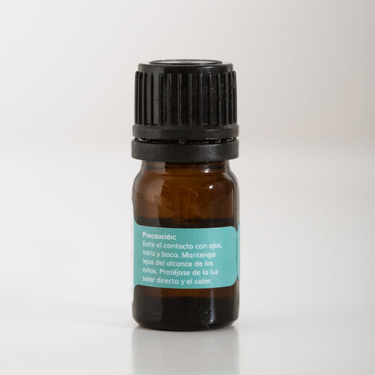 Salvia Sclarea