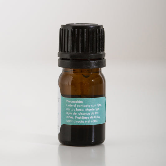 Menta