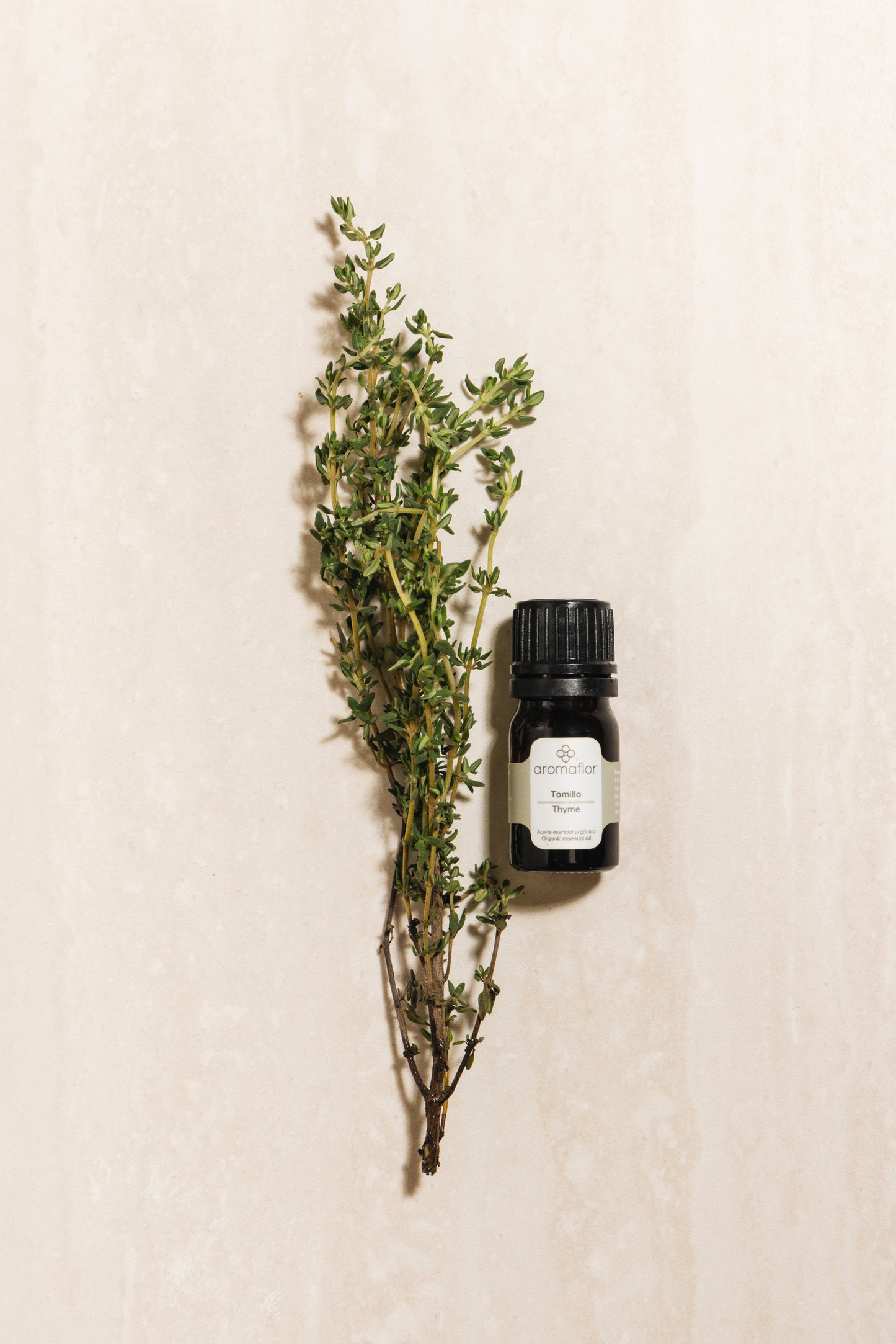 Thyme
