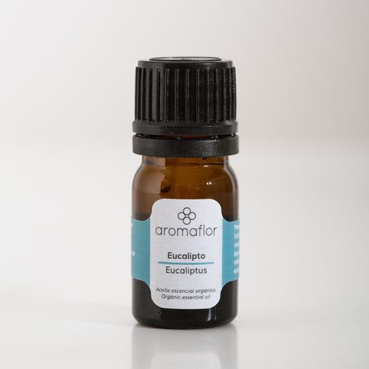 Eucalipto