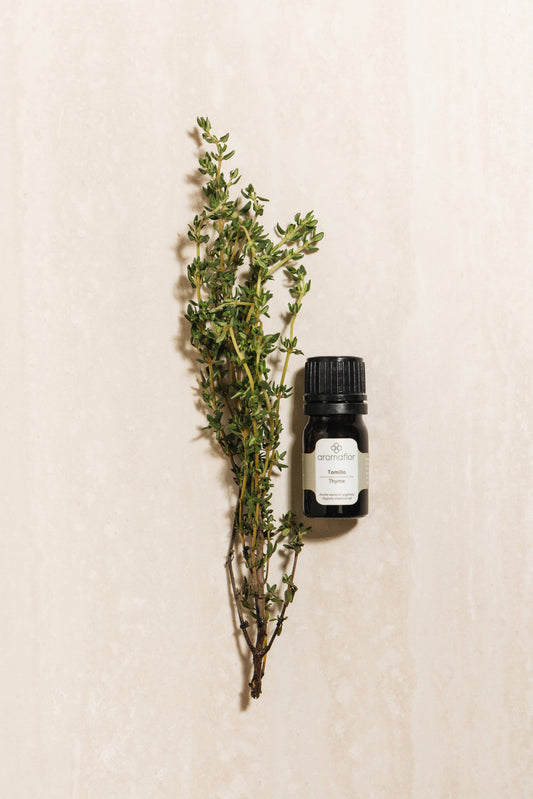 Tomillo